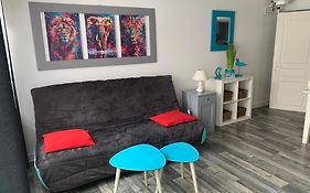 Très bel appartement mezzanine de 37m2 refait à neuf